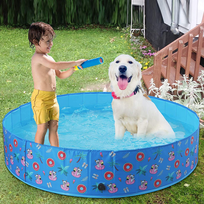 small wading pool for dogs